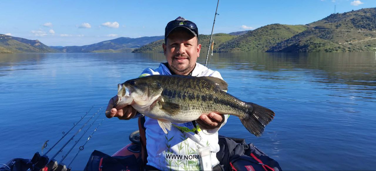 Henrique Miguel de Sampaio e Melo Martins